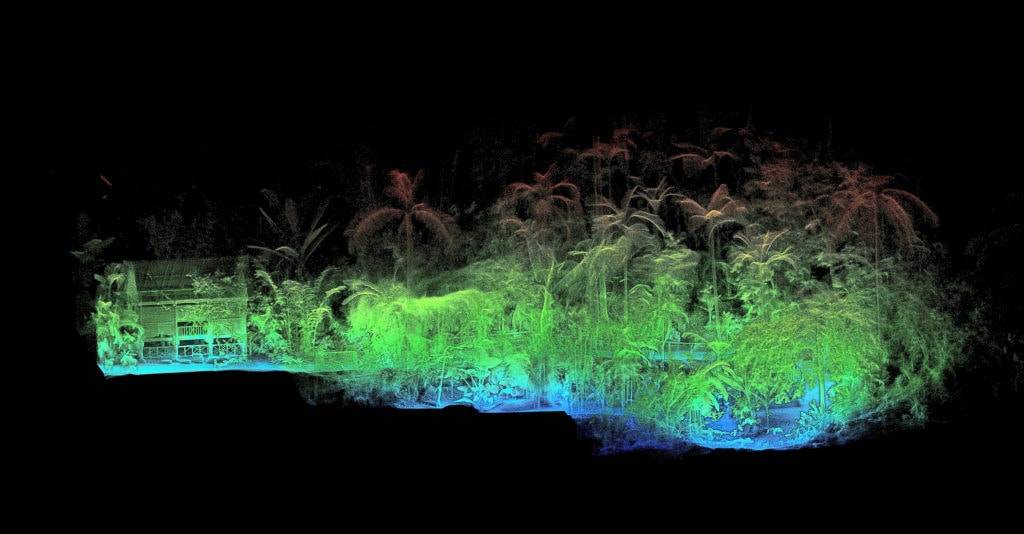 Point cloud data of a forest