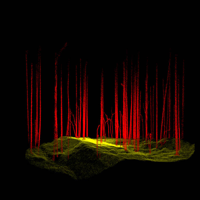 Point cloud data of terrain and tree trunks