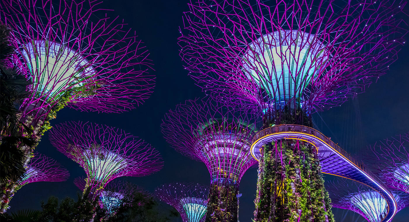 Gardens by the bay in Singapore lit up at night