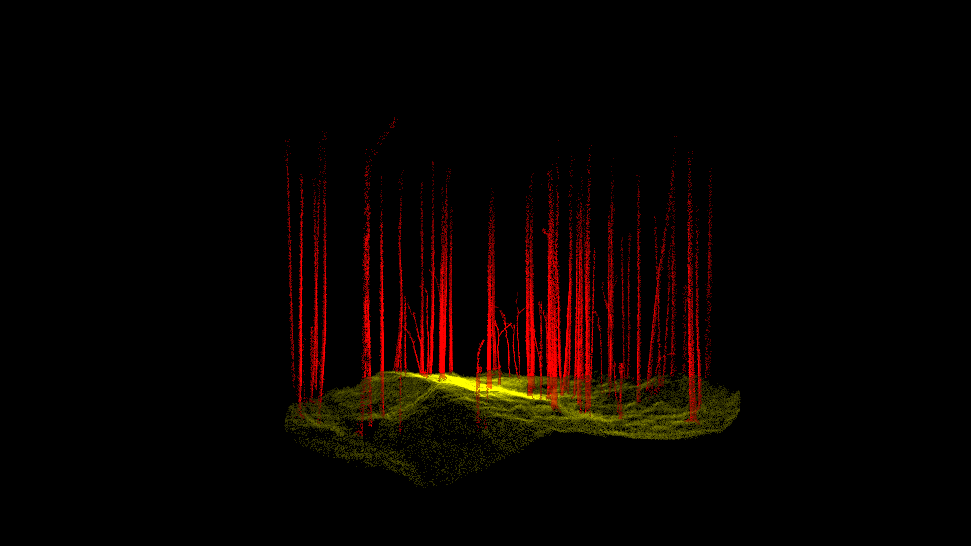 Point cloud data of forest terrain and tree trunks