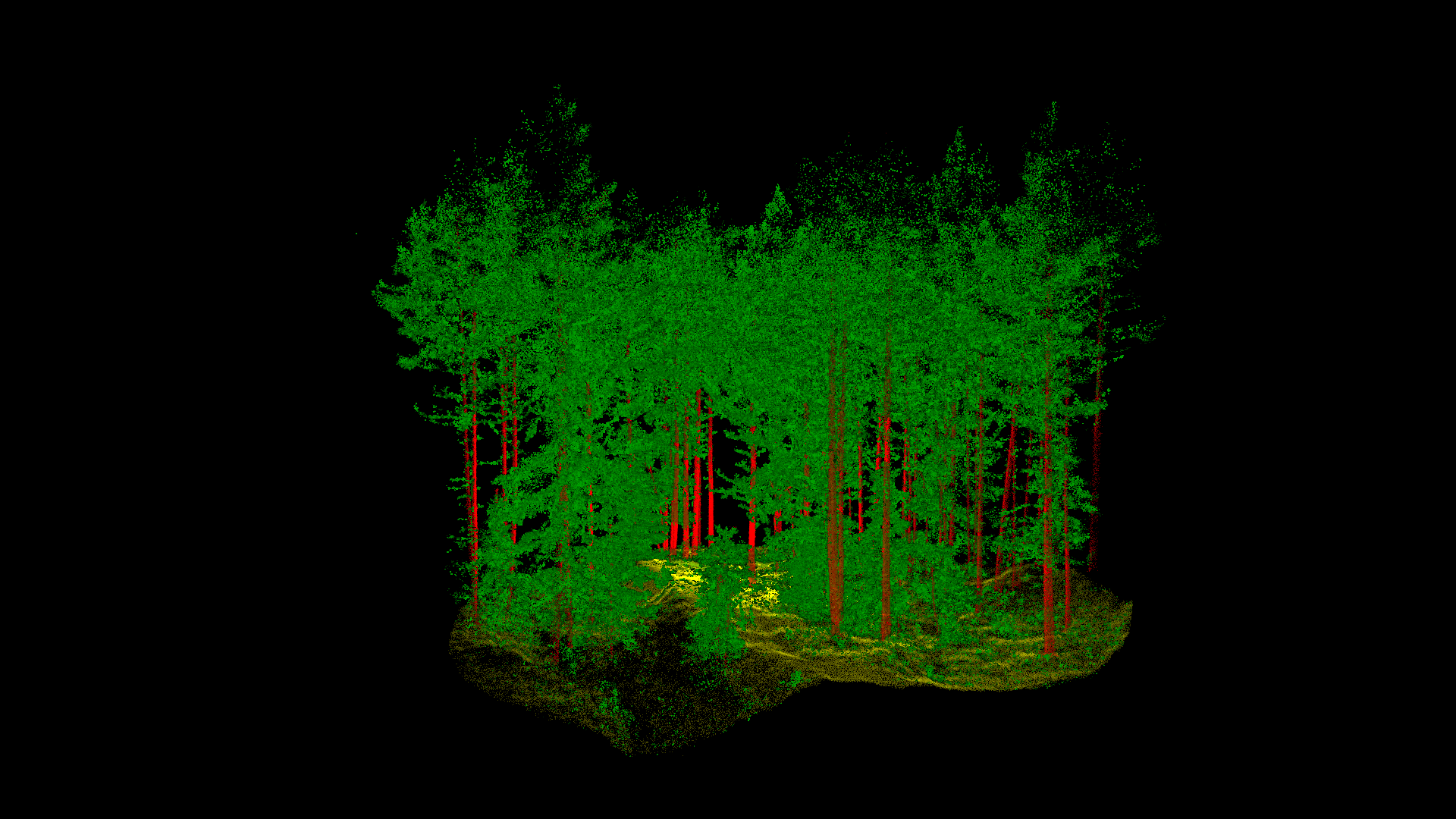 Point cloud data of forest terrain, tree trunks and forest canopy